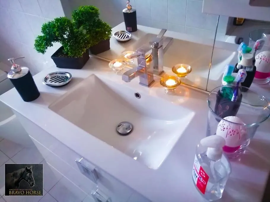 Homestay Bravo Horse Apartment Florence